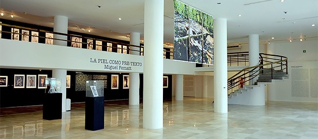 Resultado de imagen para pinacoteca diego rivera xalapa